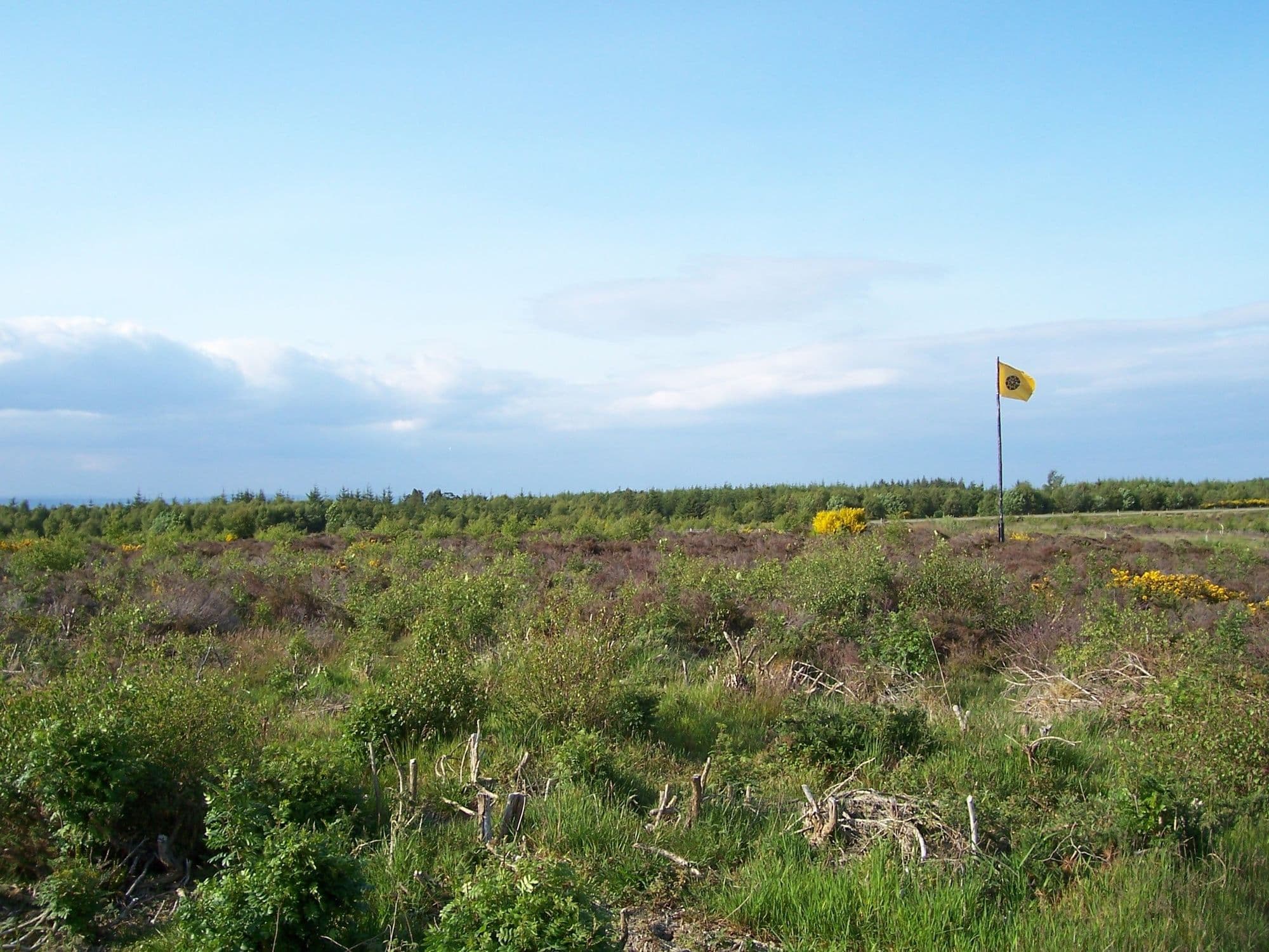 The Battle of Culloden | 1746